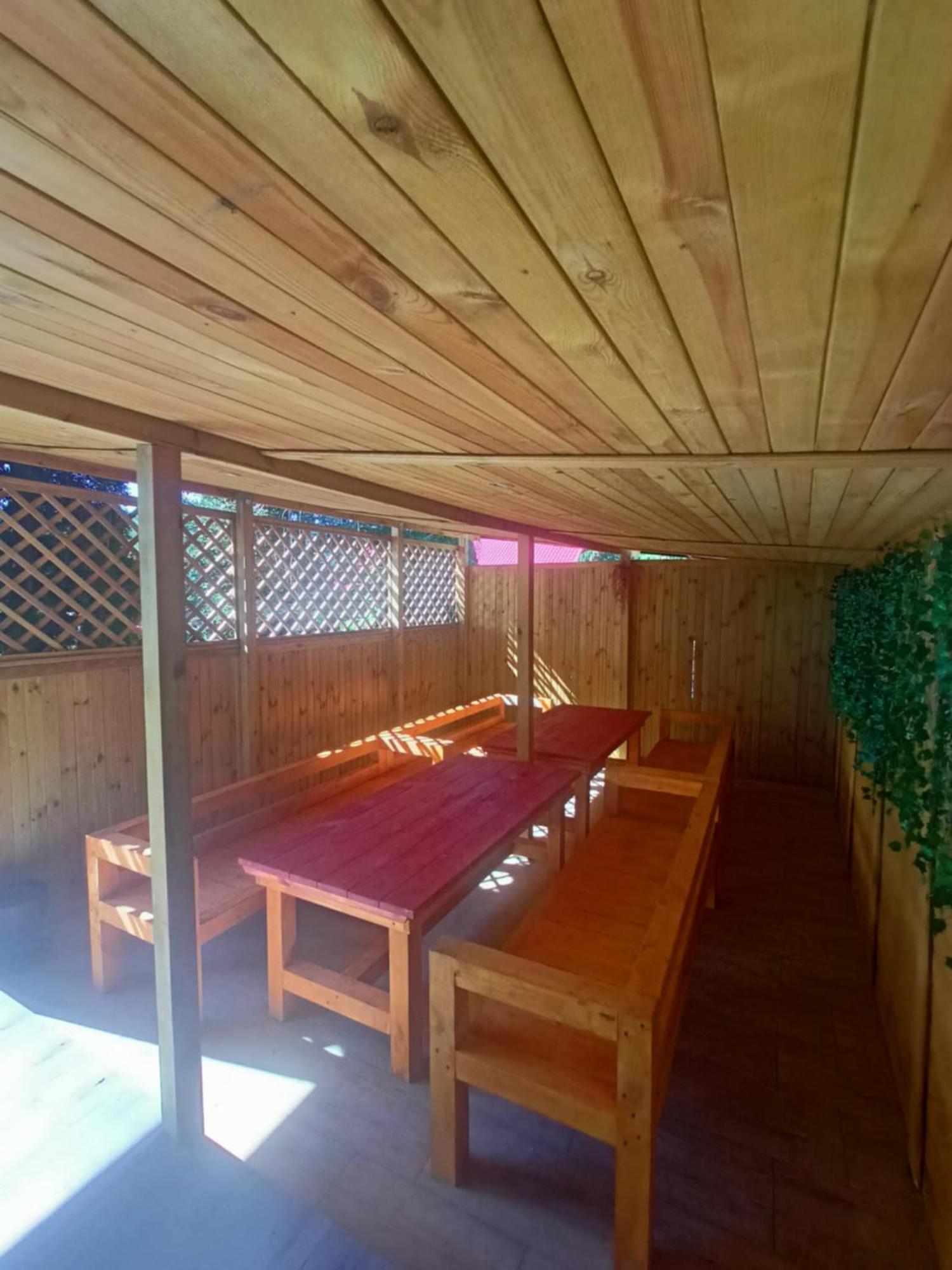 Malinowy Gaj - Agroturystyka Z Alpakami I Innymi Zwierzetami Swietajno  Exterior foto
